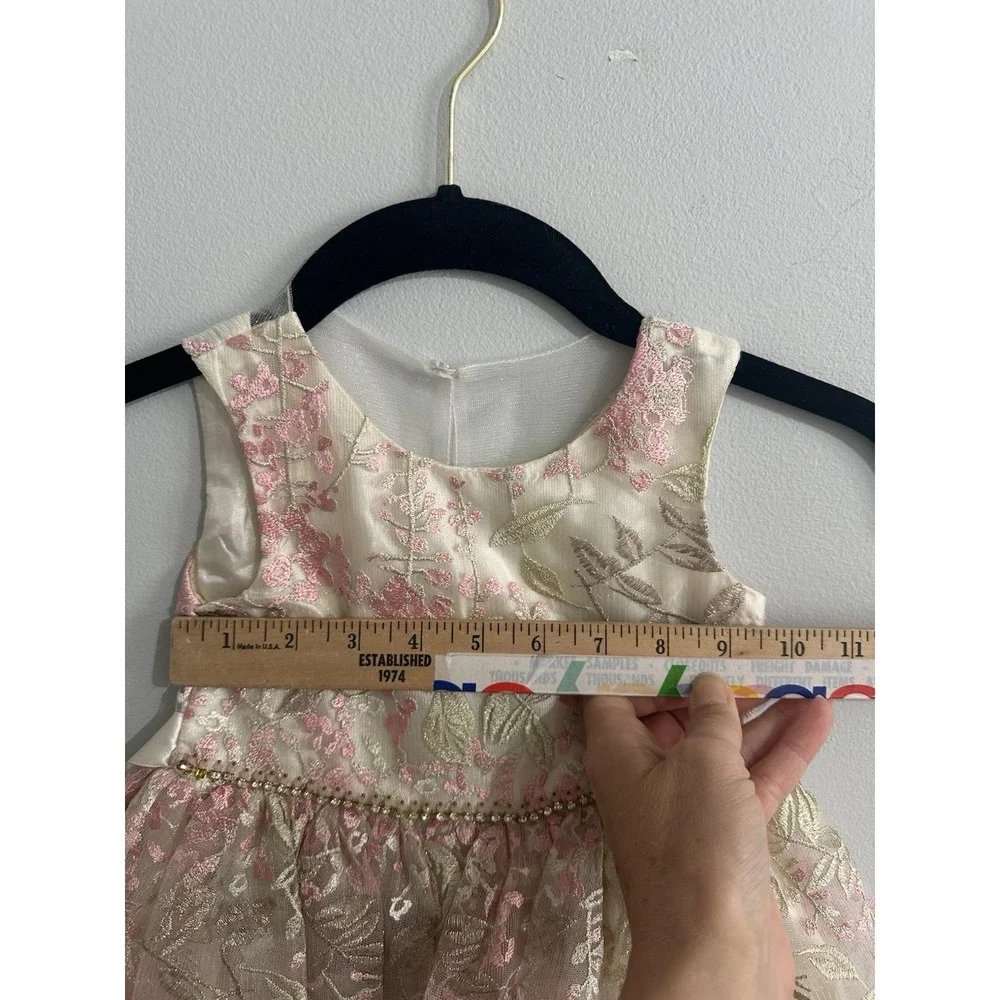 Rare Editions Girls 2T Floral Embroidered Party Dress Wedding Pink Cream Gold